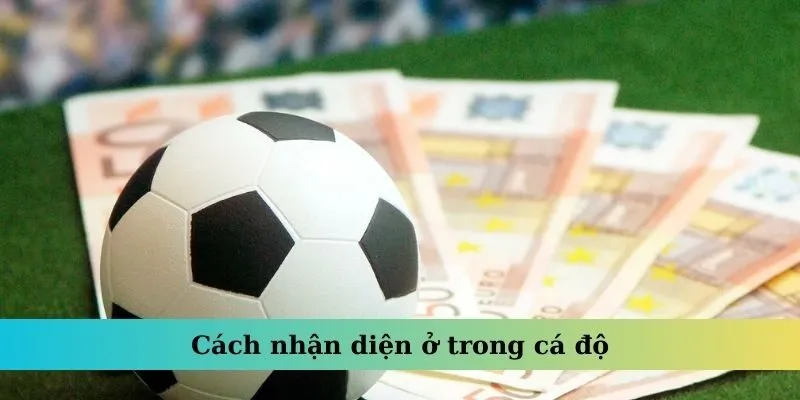 Cách nhận diện ở trong cá độ