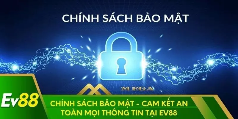 Quyền hạn và trách nhiệm của hội viên