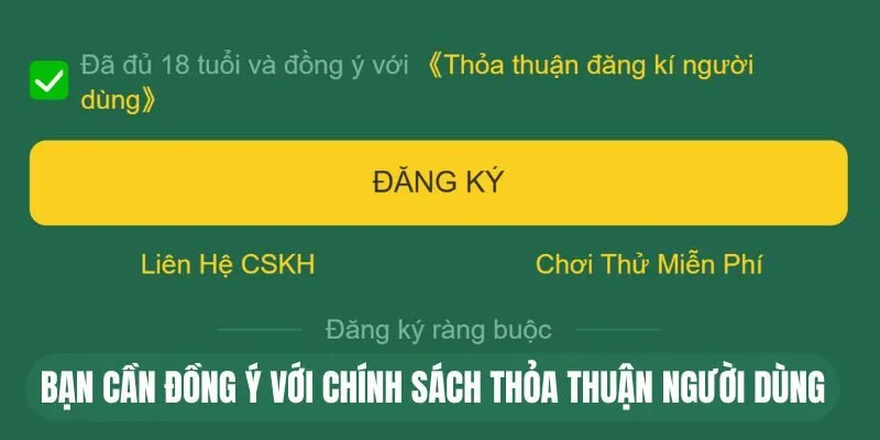 Bạn cần đồng ý với chính sách thỏa thuận người dùng