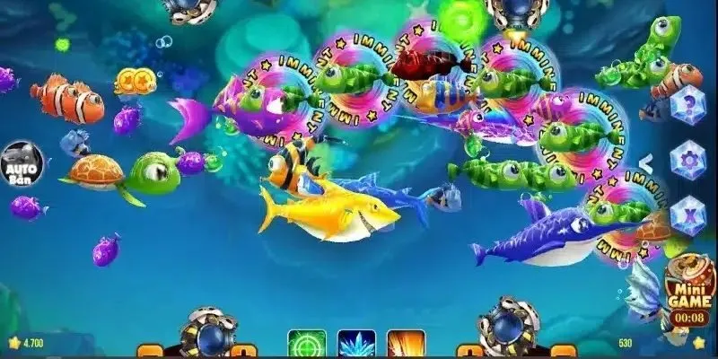 Nắm luật chơi cơ bản trước khi săn cá